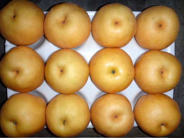 Pears